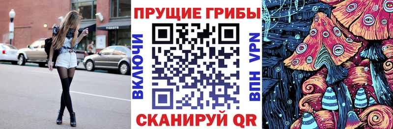blacksprut   Казань  Псилоцибиновые грибы мицелий 