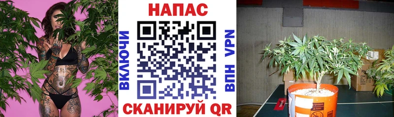 Каннабис THC 21%  Казань 